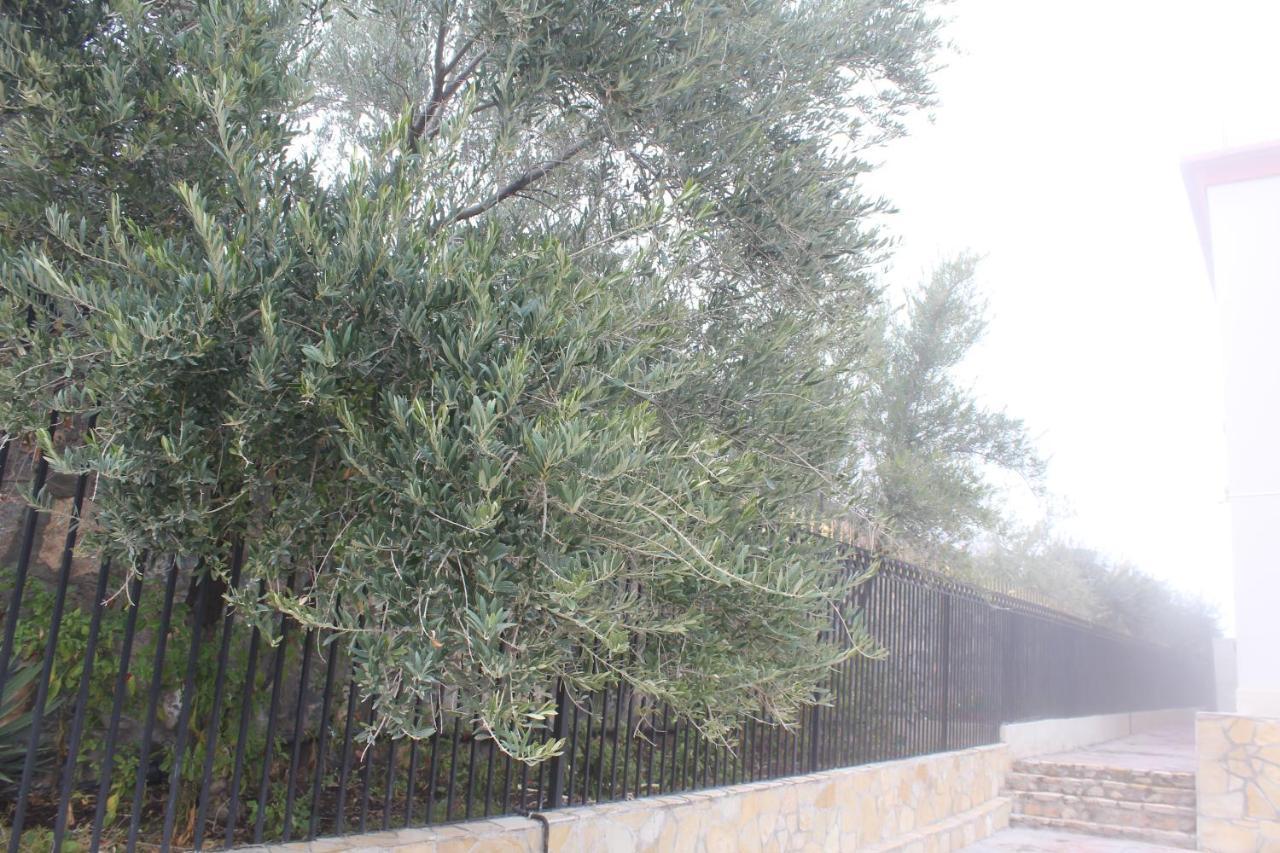 Asas Al Jabal Al Akhdar Apartments شقق أساس الجبل الأخضر Sayq Exterior foto